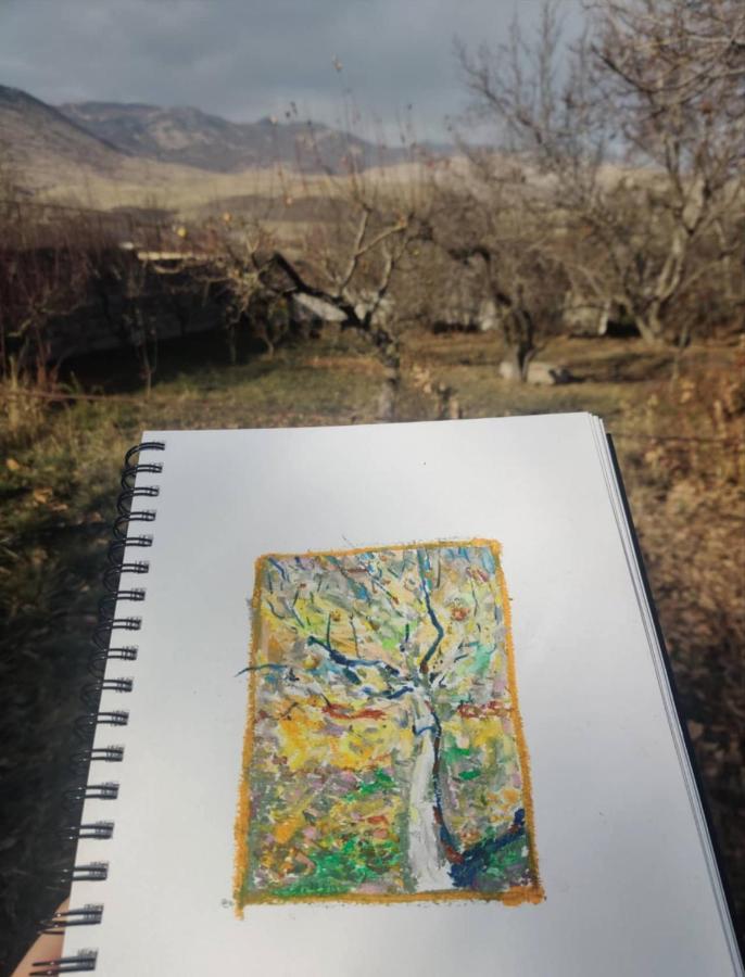Zove Rural Cottage With Garden Views K'arashamb エクステリア 写真